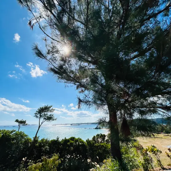 Plan your Okinawa camper van road trip – 8 scenic stops